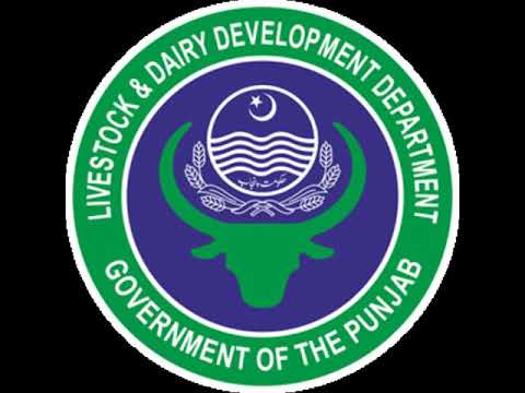 Directorate General Research Livestock & Dairy Development Department Khyber PakhtunKhwa Peshawar